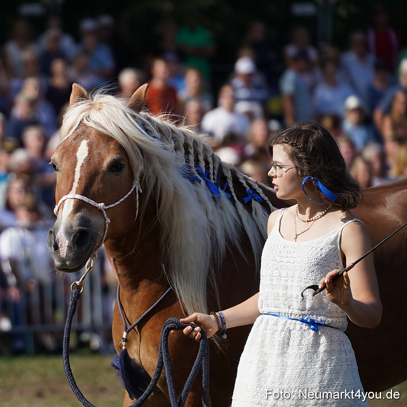 Pferde und Fohlenschau 2022 0147 